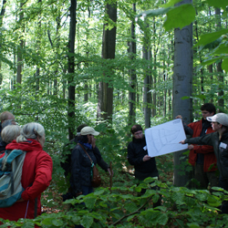 Studierende erkl&auml;ren Naturwald-G&auml;sten die historische Wallanlage am H&uuml;nstollen