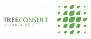HAWK Deutschlandstipendium Brudi & Partner TreeConsult Baumsachverständige