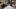 web_01_Knochenjobs