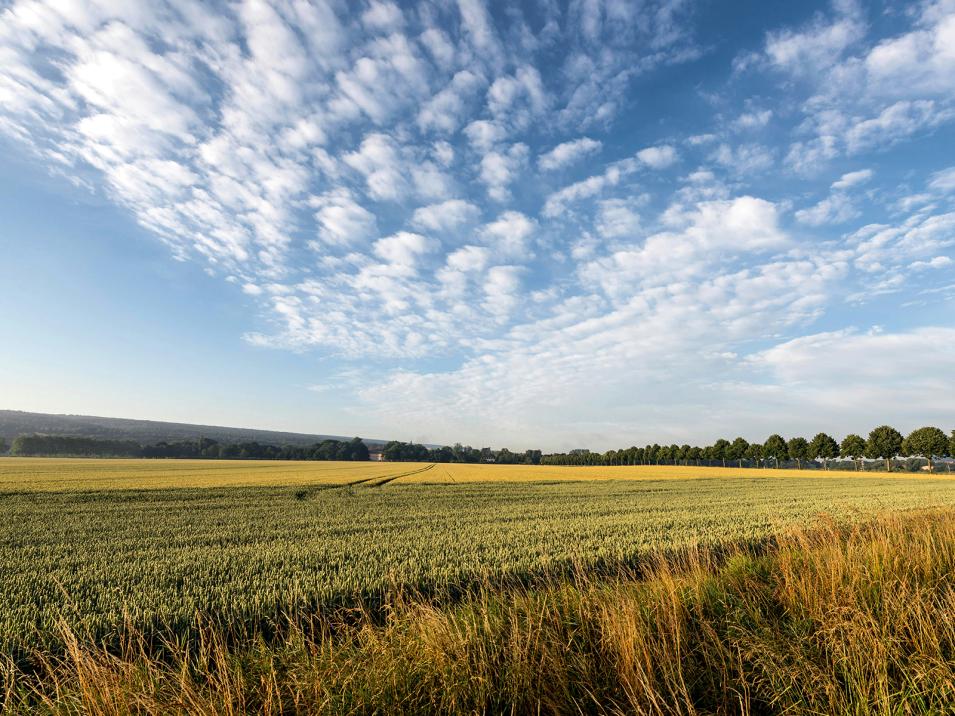 Landschaft Feld Holzminden