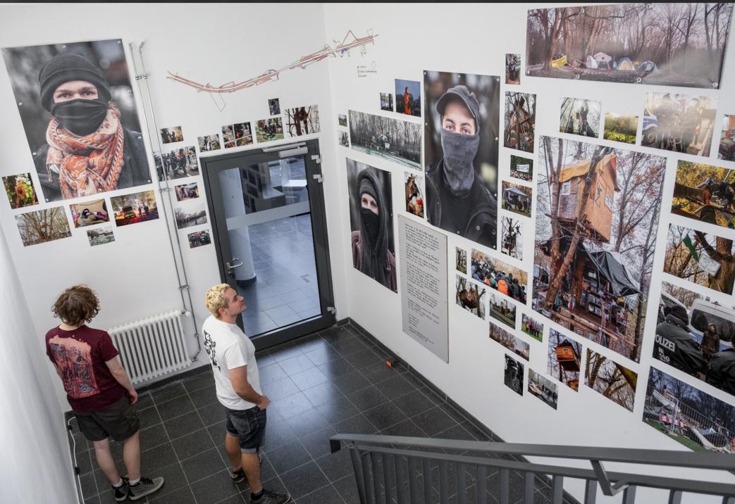 Bäume Besetzen Motiv 2